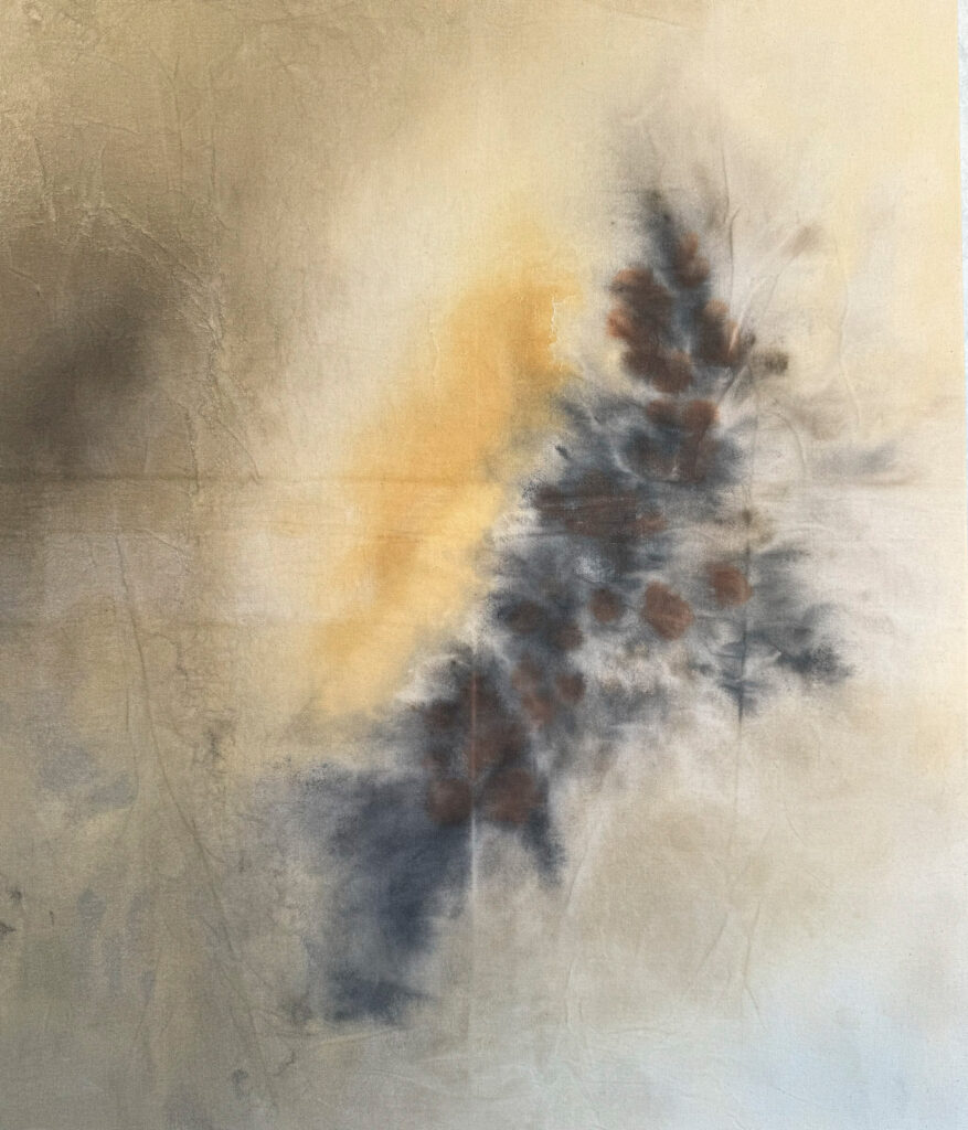 Habitar la luz - 2024 Antonia Prida